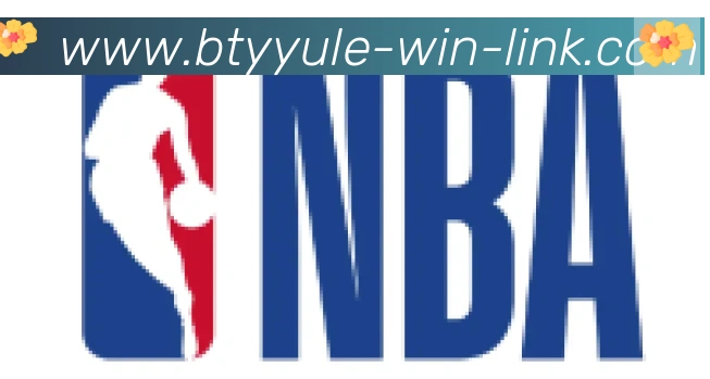 B体育官网合作伙伴